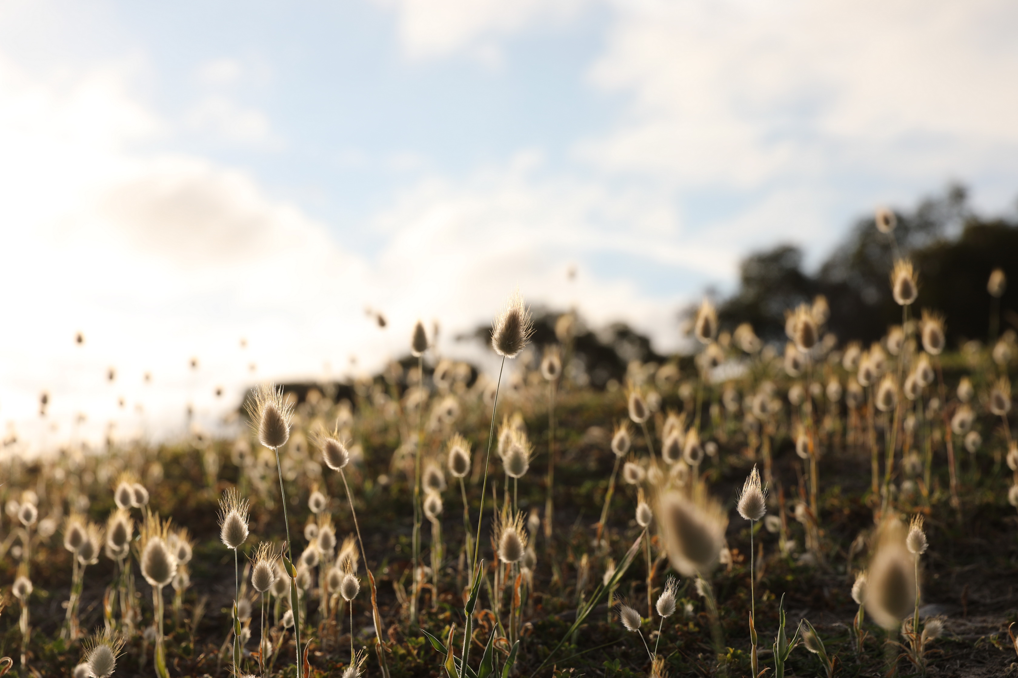 2019 10 03 17 23 00 Canon EOS 5D Mark IV 0021